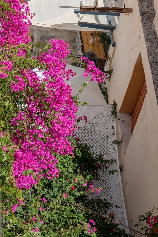 Theogonia Apartment Ermoupoli Exterior photo